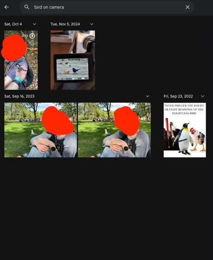 Google Photos search results for 'bird on camera'