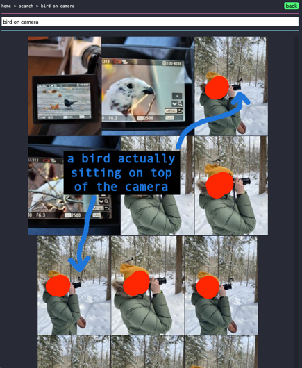 SigLIP2 search results for 'bird on camera'